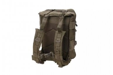 Assault Pack type backpack - olive 3