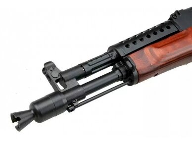 MG-MS NV assault rifle replica 2