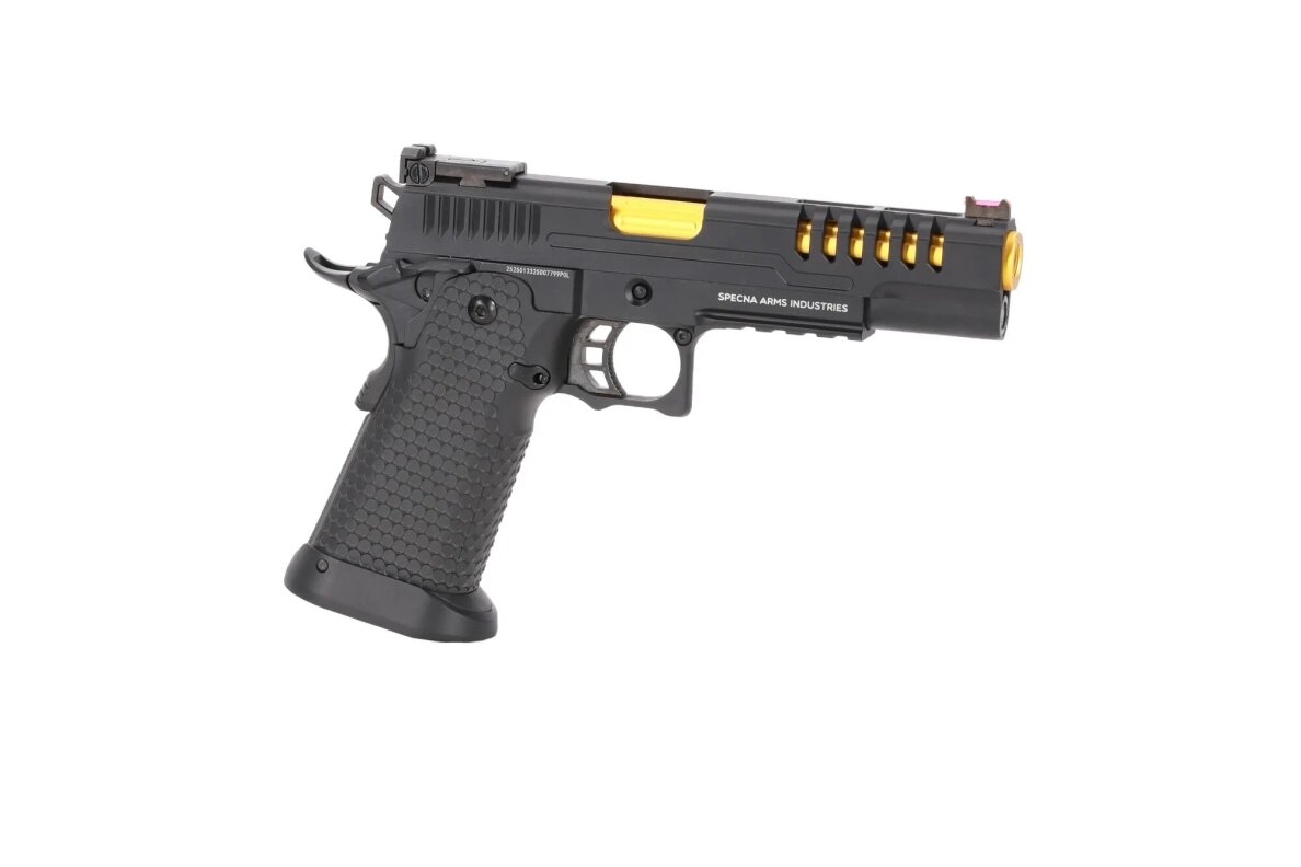 Šratasvydžio pistoletas VGP25 VAPOR Black and Gold 2