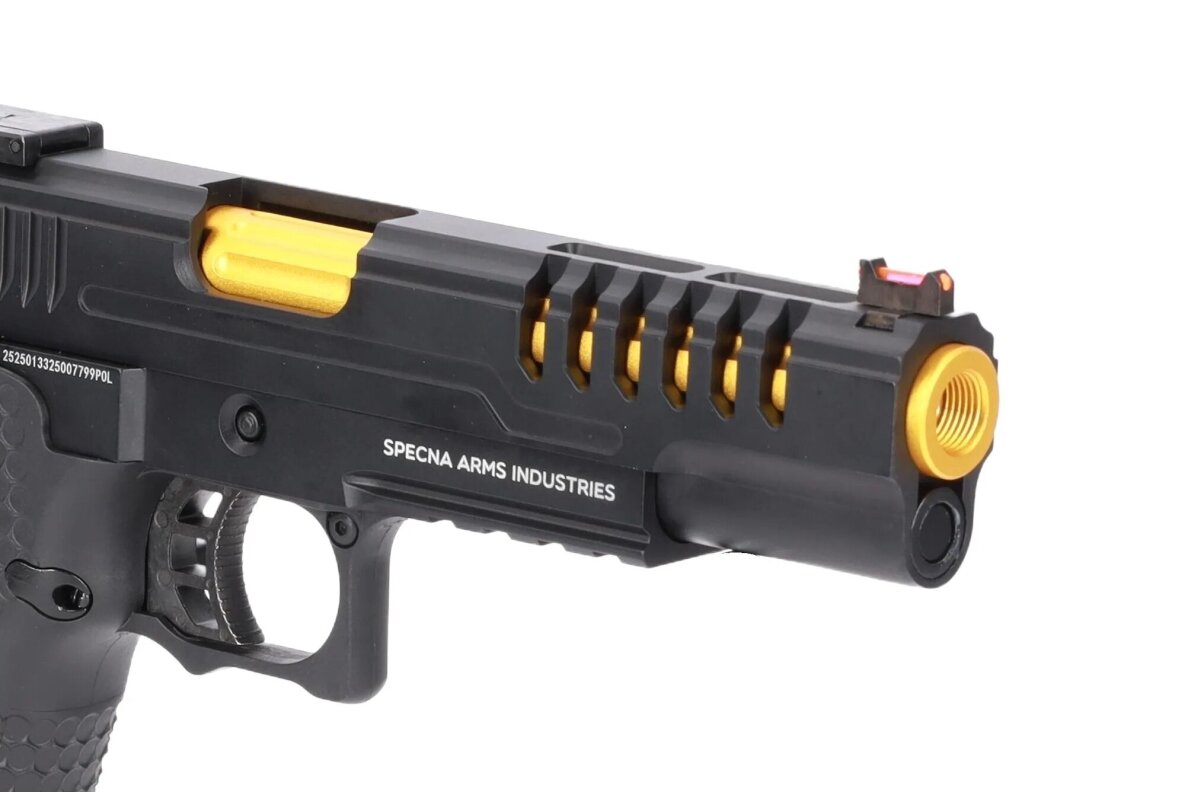 Šratasvydžio pistoletas VGP25 VAPOR Black and Gold 9
