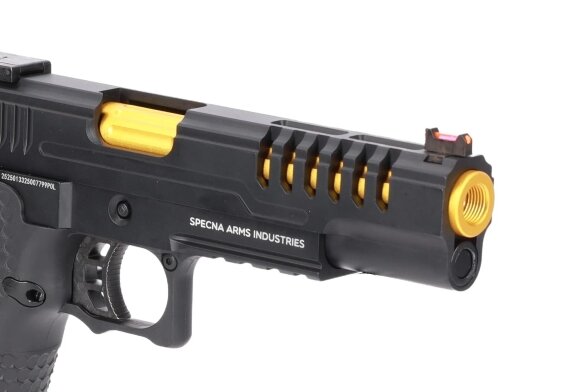 Šratasvydžio pistoletas VGP25 VAPOR Black and Gold 9