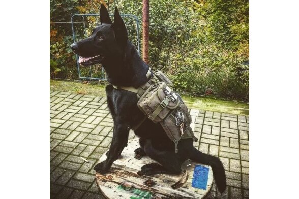 Tactical Dog Vest - Olive Drab 3 Tactical Dog Vest - Olive Drab 3