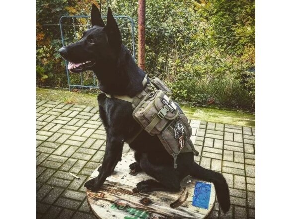 Tactical Dog Vest - Olive Drab 3