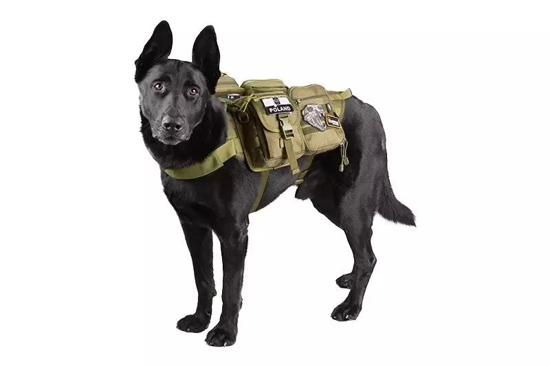 Tactical Dog Vest - Olive Drab 2 Tactical Dog Vest - Olive Drab 2