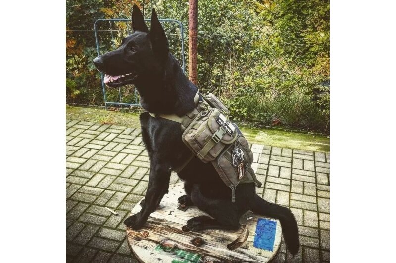 Tactical Dog Vest - Olive Drab 3 Tactical Dog Vest - Olive Drab 3