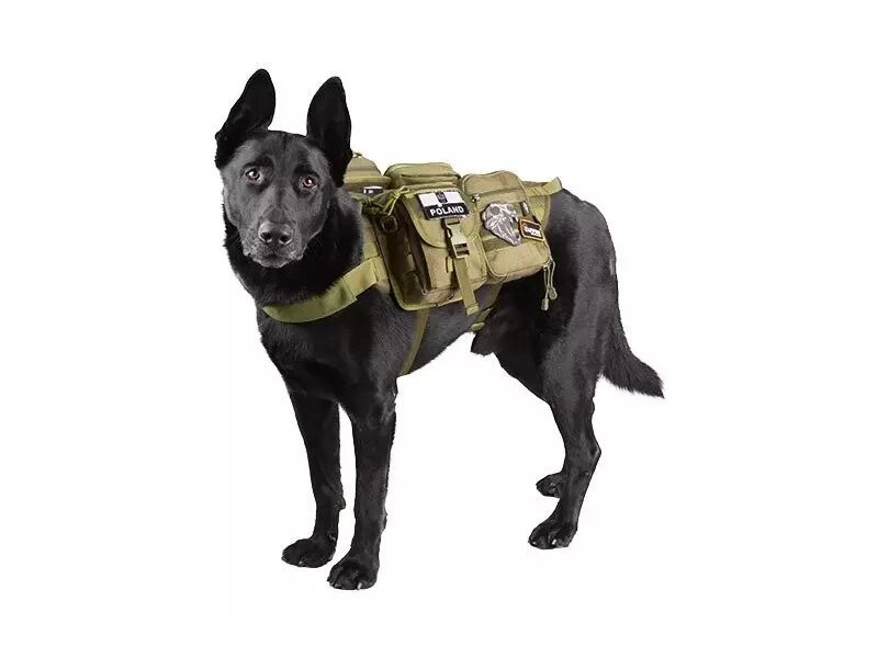 Tactical Dog Vest - Olive Drab 2